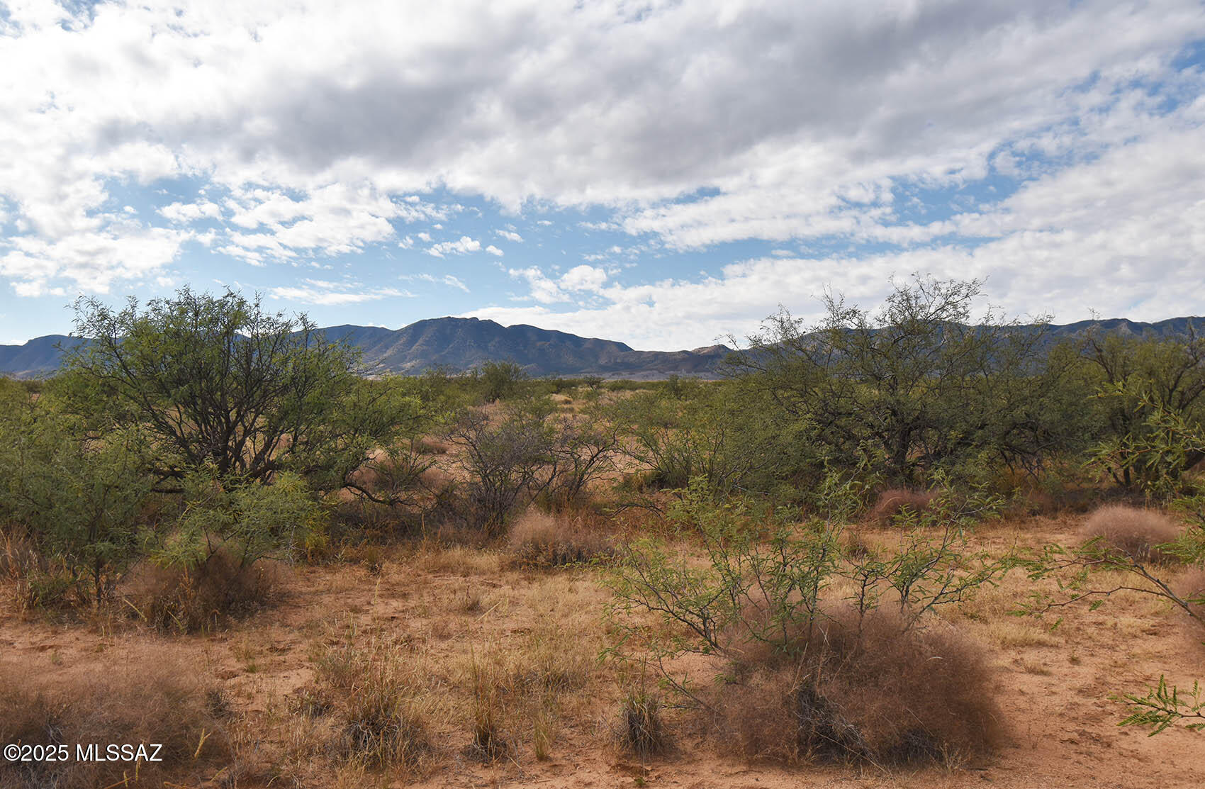 4-lots 4-lots Unnamed Road, Unit 456 Pearce, AZ 85625 - Photo 7 of 20