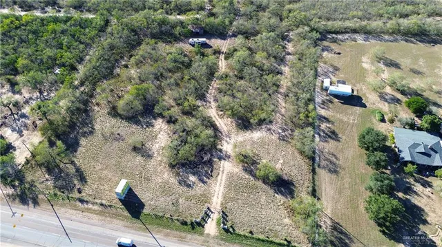 a view of a forest with trees in front of it