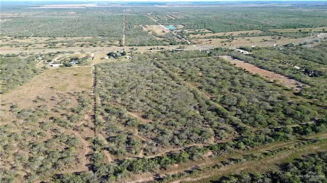 a view of a dry yard with lots of trees