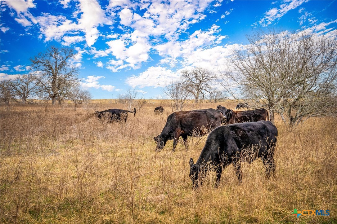 38 Settlement Way Luling, TX 78648 - Photo 18 of 23 a view of path and trees