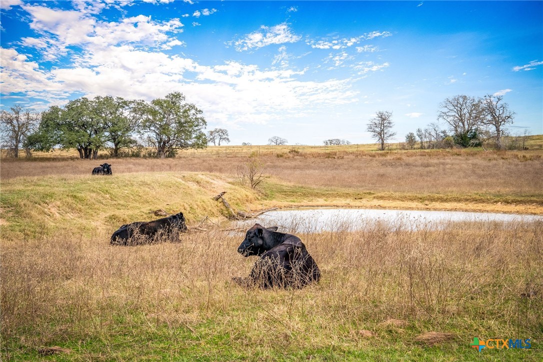 38 Settlement Way Luling, TX 78648 - Photo 19 of 23