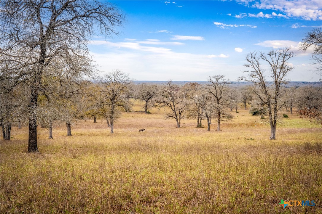 38 Settlement Way Luling, TX 78648 - Photo 2 of 23 a view of open space with green space