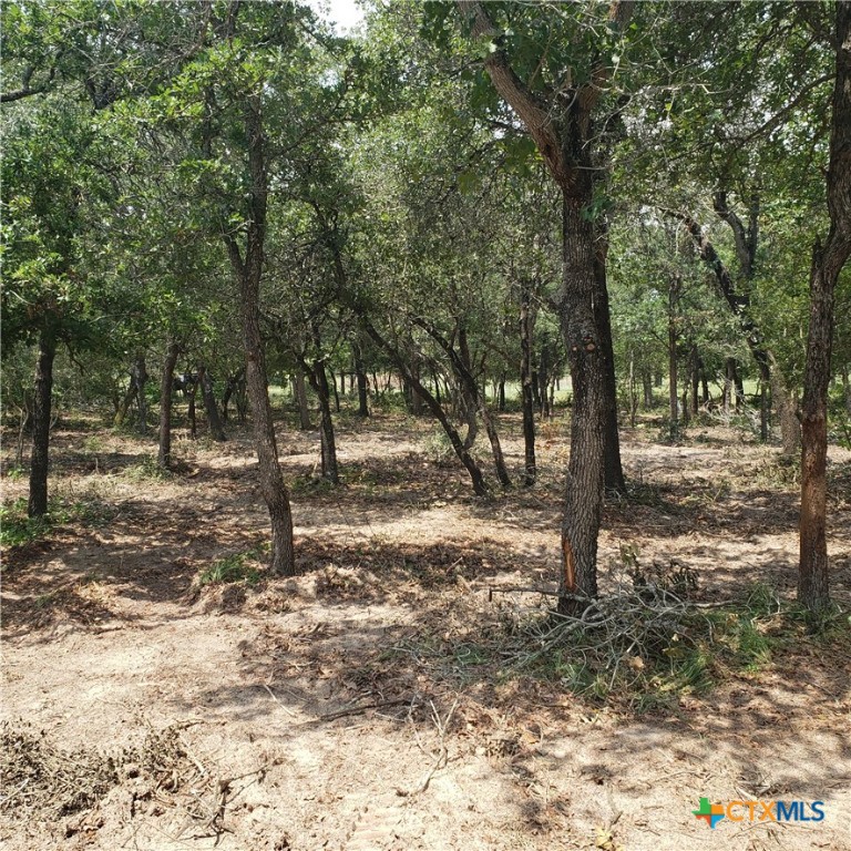 38 Settlement Way Luling, TX 78648 - Photo 21 of 23 a view of a yard with trees
