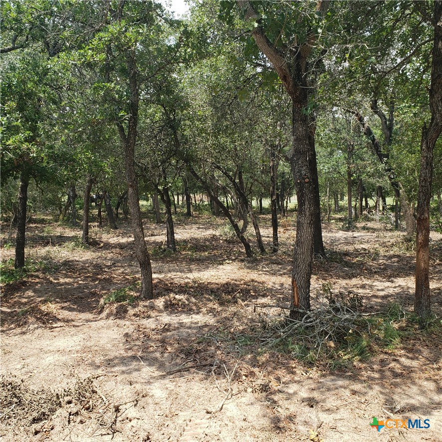 38 Settlement Way Luling, TX 78648 - Photo 21 of 23 a view of a yard with trees