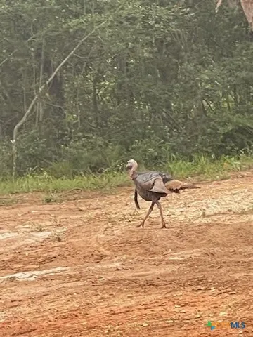 $147,000 | 38 Settlement Way, Luling, TX 78648