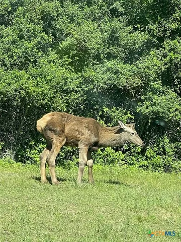 $147,000 | 38 Settlement Way, Luling, TX 78648