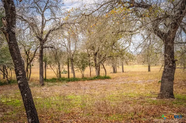 a view of yard with trees