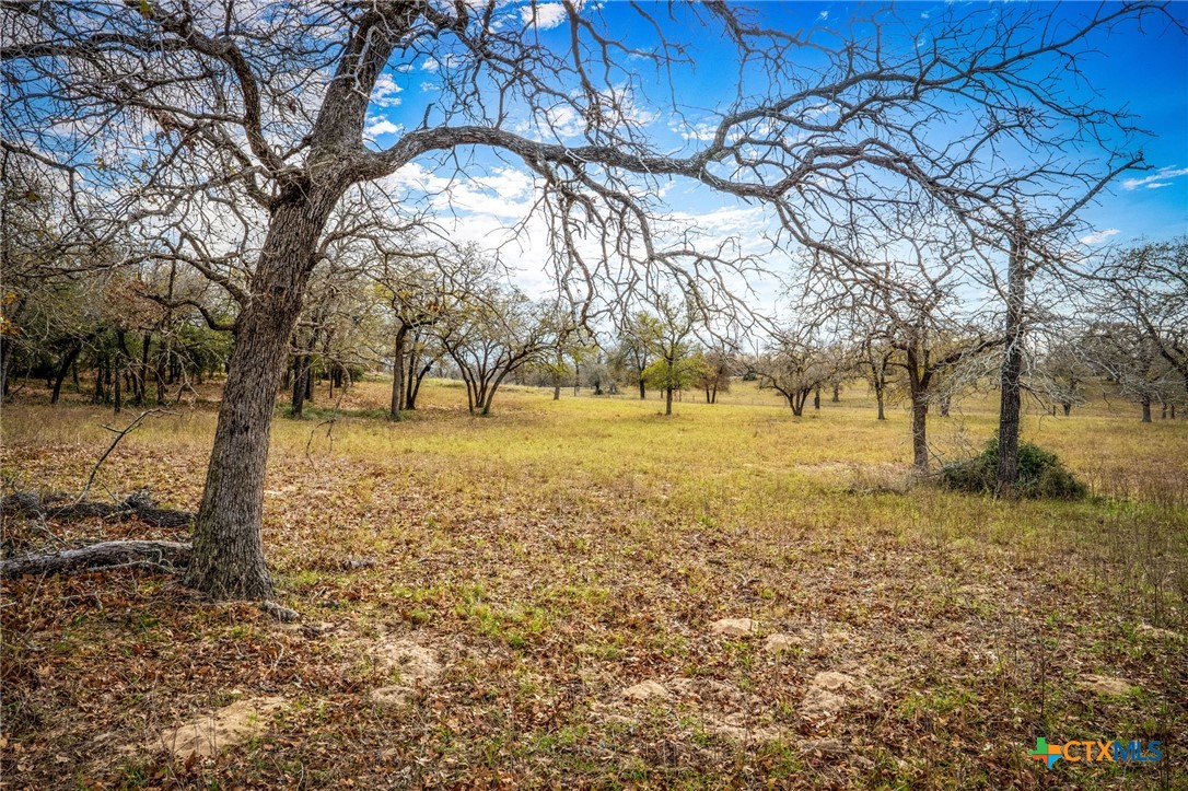 38 Settlement Way Luling, TX 78648 - Photo 8 of 23 a view of yard with trees