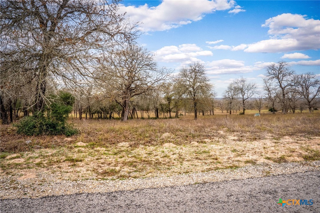 38 Settlement Way Luling, TX 78648 - Photo 9 of 23 a view of yard covered with snow