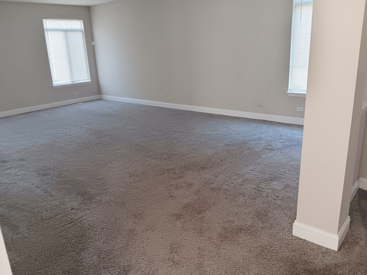 6424 Pasture Side Trail Matteson, IL 60443 - Photo 7 of 9 an empty room with windows