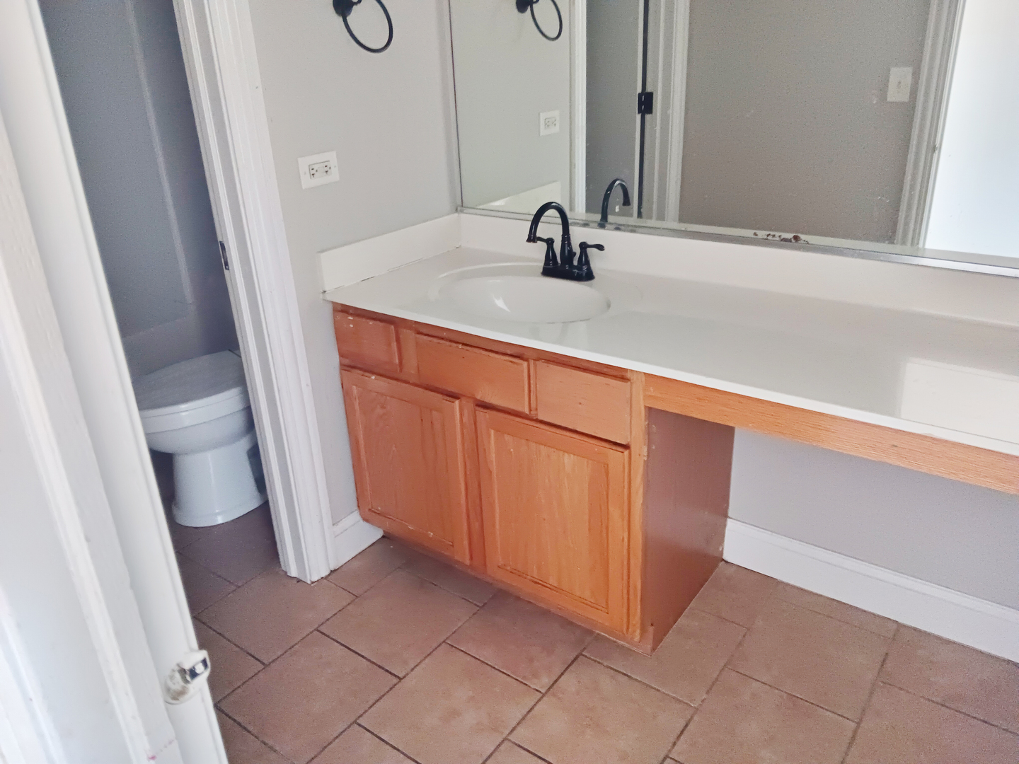 6424 Pasture Side Trail Matteson, IL 60443 - Photo 8 of 9 a bathroom with a sink and a vanity