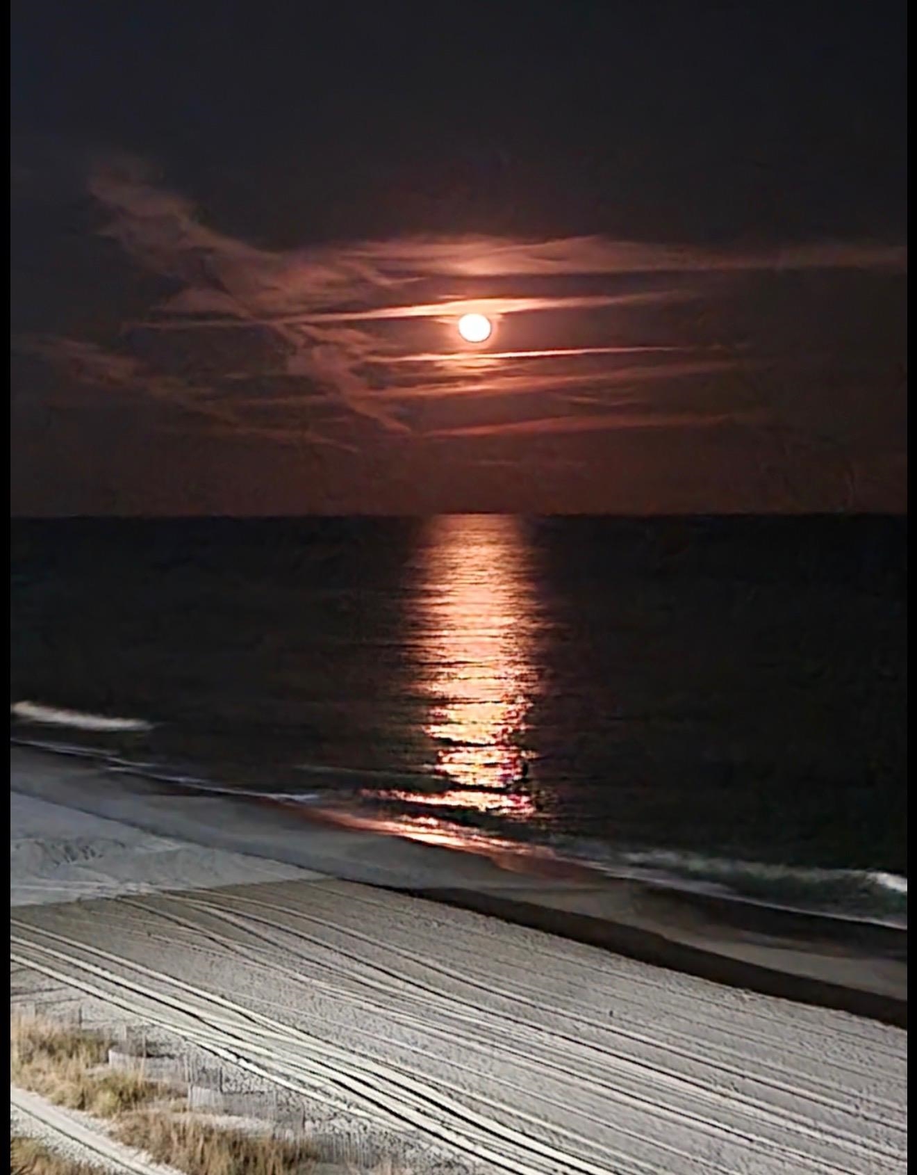 1605 South Ocean Boulevard, Unit 1004 Myrtle Beach, SC 29577 - Photo 34 of 36