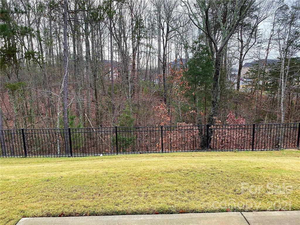 2436 Palmdale Walk Drive Fort Mill, SC 29708 - Photo 38 of 38 Gallery Image 38