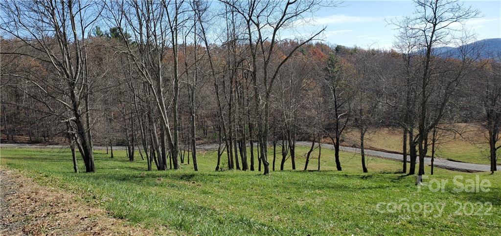 1240 Wade Bare Road Jefferson, NC 28640 - Photo 24 of 42 Gallery Image 24