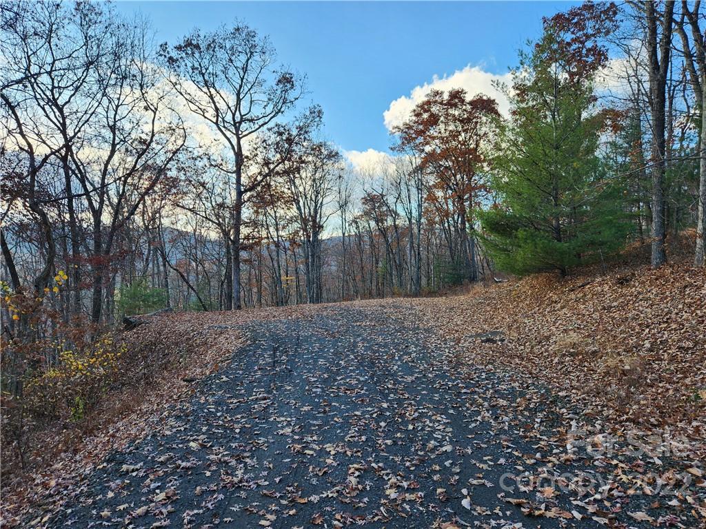 1240 Wade Bare Road Jefferson, NC 28640 - Photo 29 of 42 Gallery Image 29