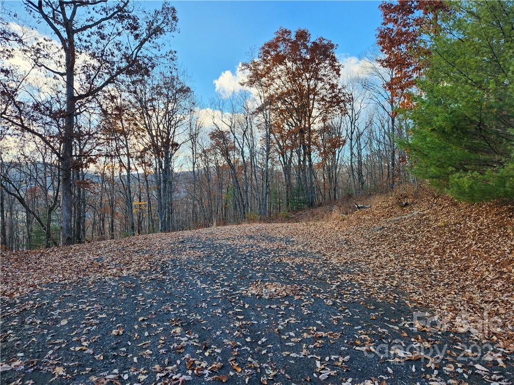 1240 Wade Bare Road Jefferson, NC 28640 - Photo 31 of 42 Gallery Image 31