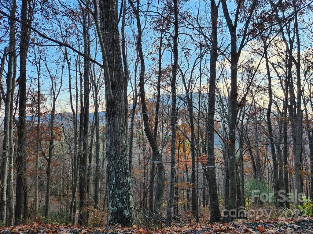 1240 Wade Bare Road Jefferson, NC 28640 - Photo 33 of 42 Gallery Image 33