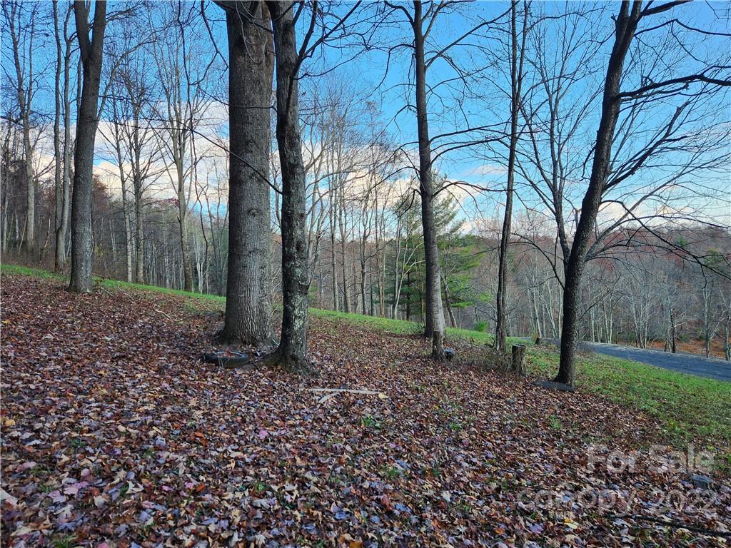 1240 Wade Bare Road Jefferson, NC 28640 - Photo 35 of 42 Gallery Image 35