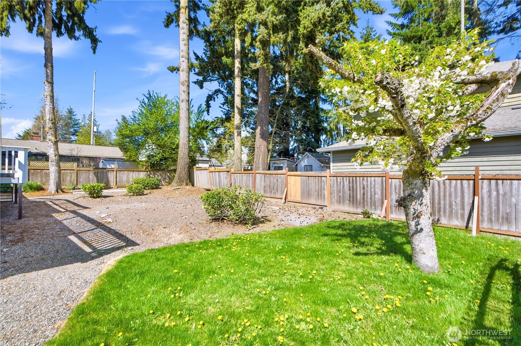116 Northeast 133rd Street Seattle, WA 98125 - Photo 22 of 23 a front view of a house with a yard and trees