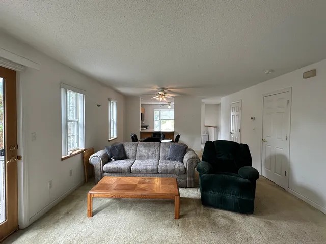 a living room with furniture and a potted plant
