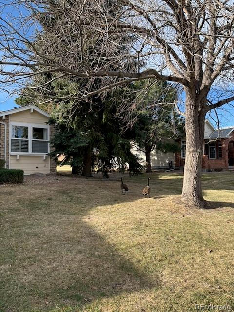 4 Shetland Court Highlands Ranch, CO 80130 - Photo 2 of 46 a view of a house with a yard