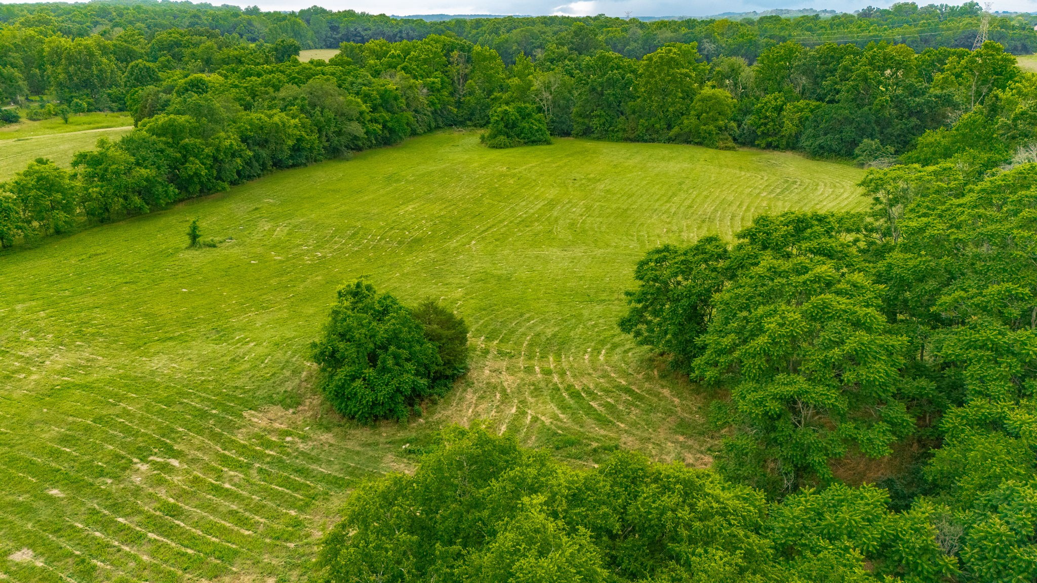 0 Cairo Bend Road Lebanon, TN 37087 - Photo 10 of 12