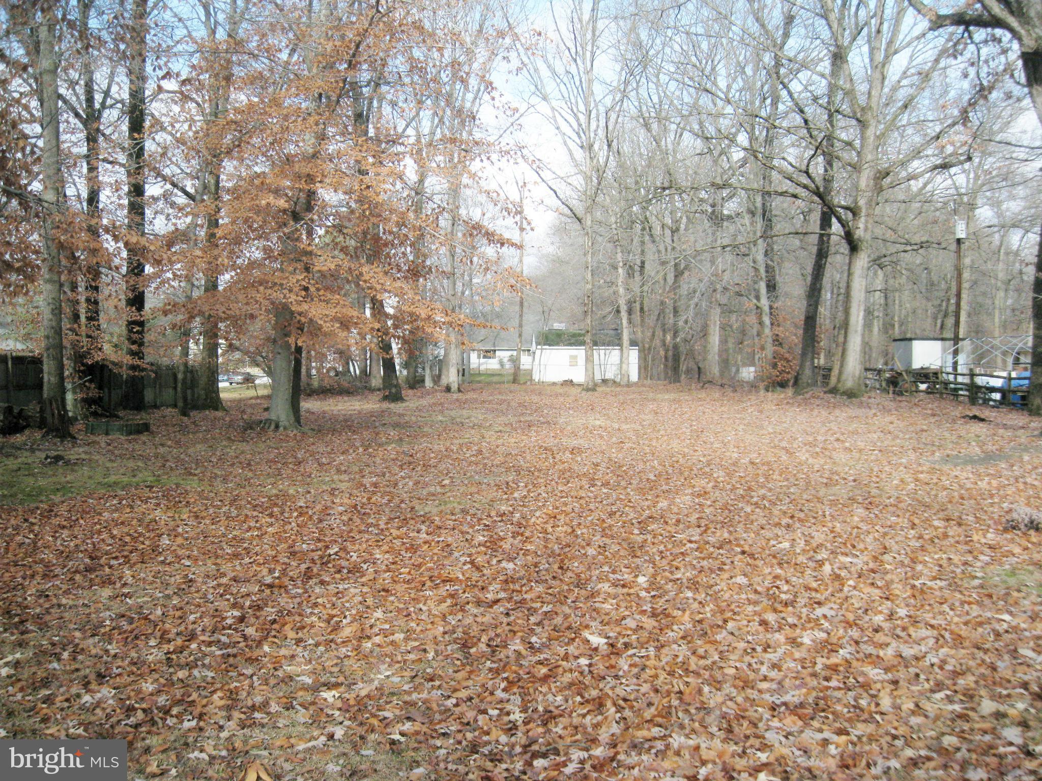 1901 Mitchellville Road Bowie, MD 20716 - Photo 4 of 20 a view of a yard with a trees
