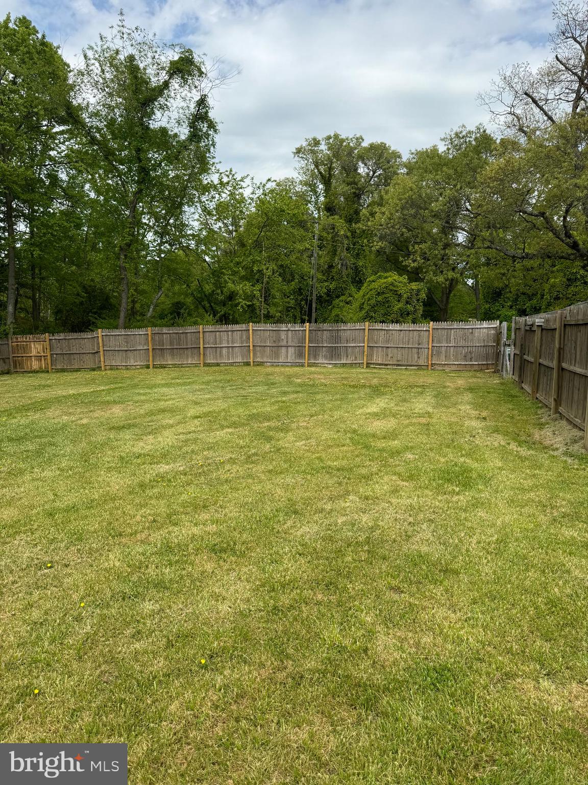94 Caisson Road Fredericksburg, VA 22405 - Photo 48 of 52 Cleared flat land