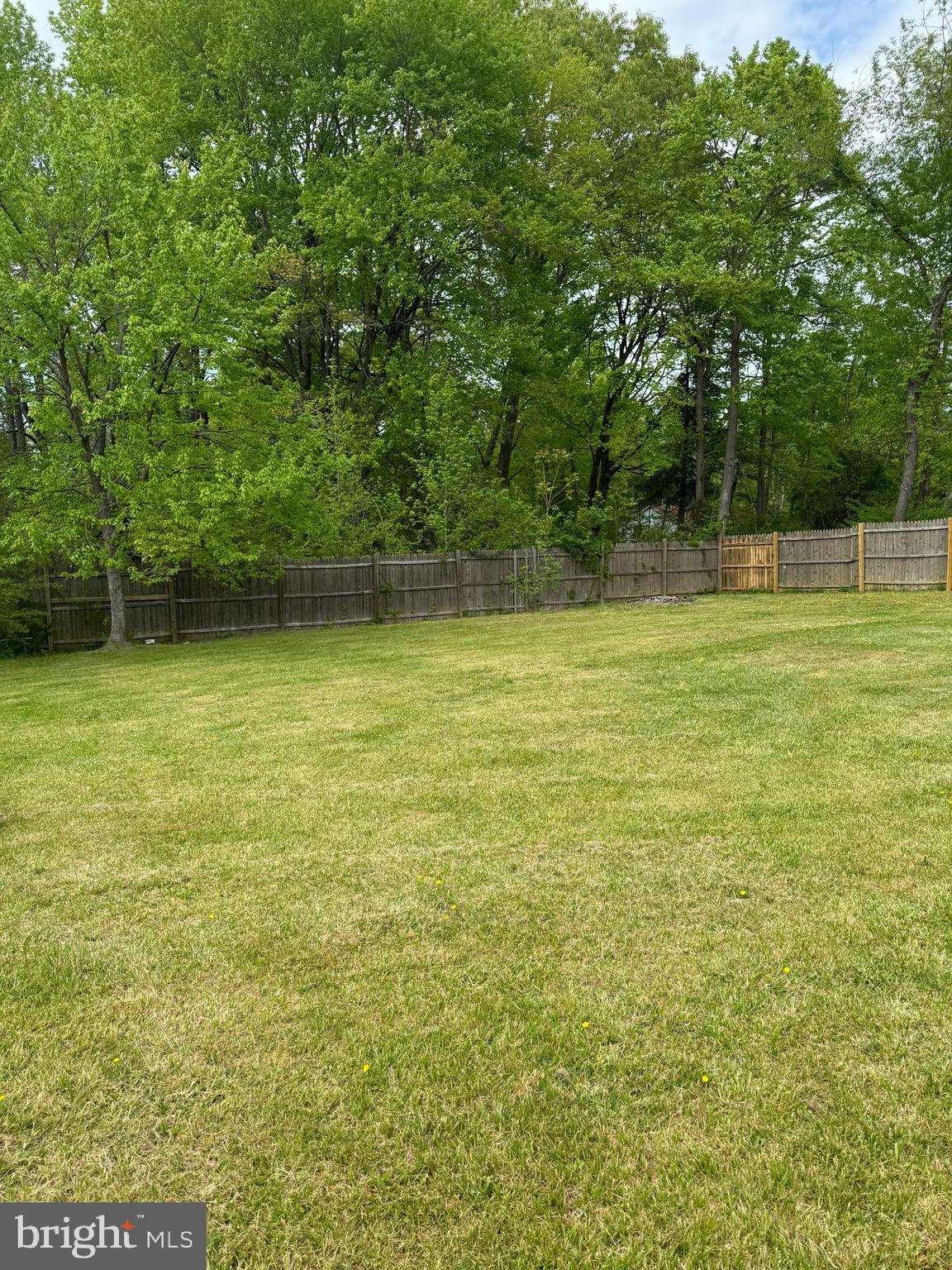 94 Caisson Road Fredericksburg, VA 22405 - Photo 49 of 52 Backs up to trees