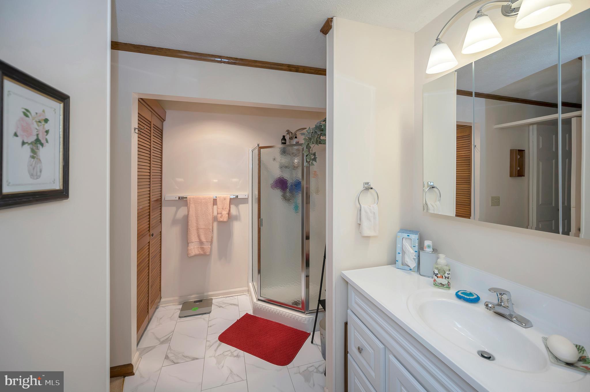 417 Birdie Road Locust Grove, VA 22508 - Photo 35 of 69 Separate walk in shower