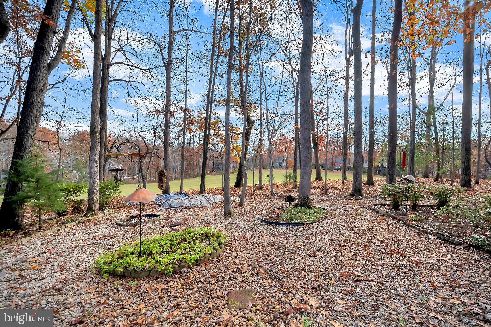 417 Birdie Road Locust Grove, VA 22508 - Photo 46 of 69 Back yard