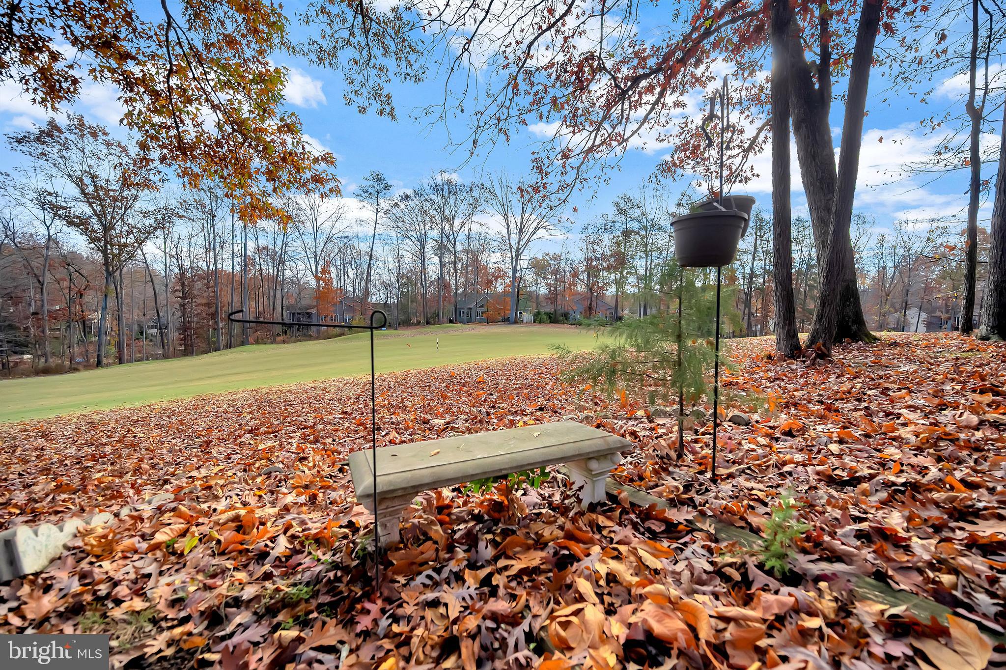 417 Birdie Road Locust Grove, VA 22508 - Photo 51 of 69 Back yard in the Fall