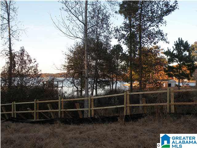 53 Shaw Lane Alpine, AL 35014 - Photo 11 of 25