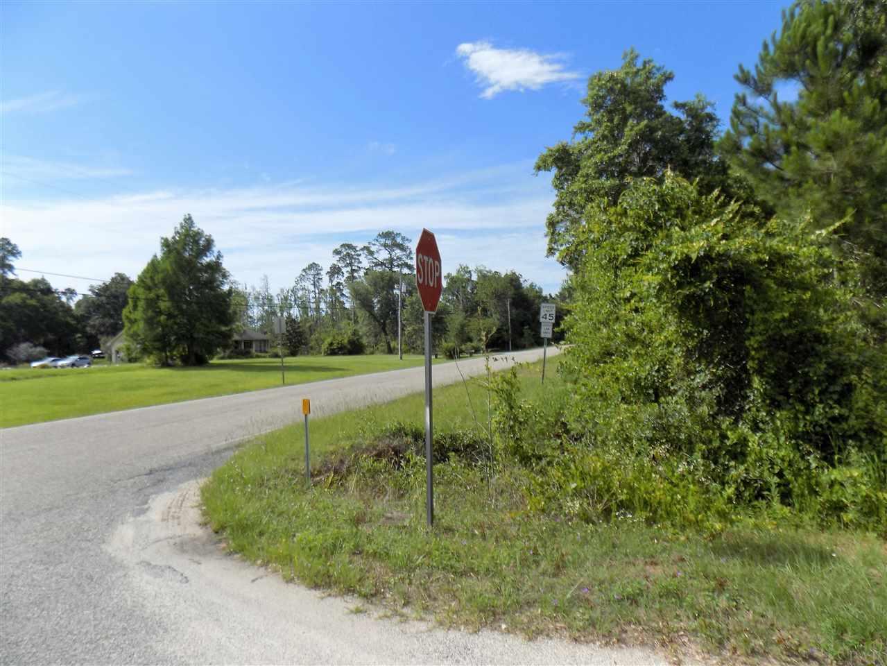 6-ac Robinson Point Road Milton, FL 32583 - Photo 4 of 9