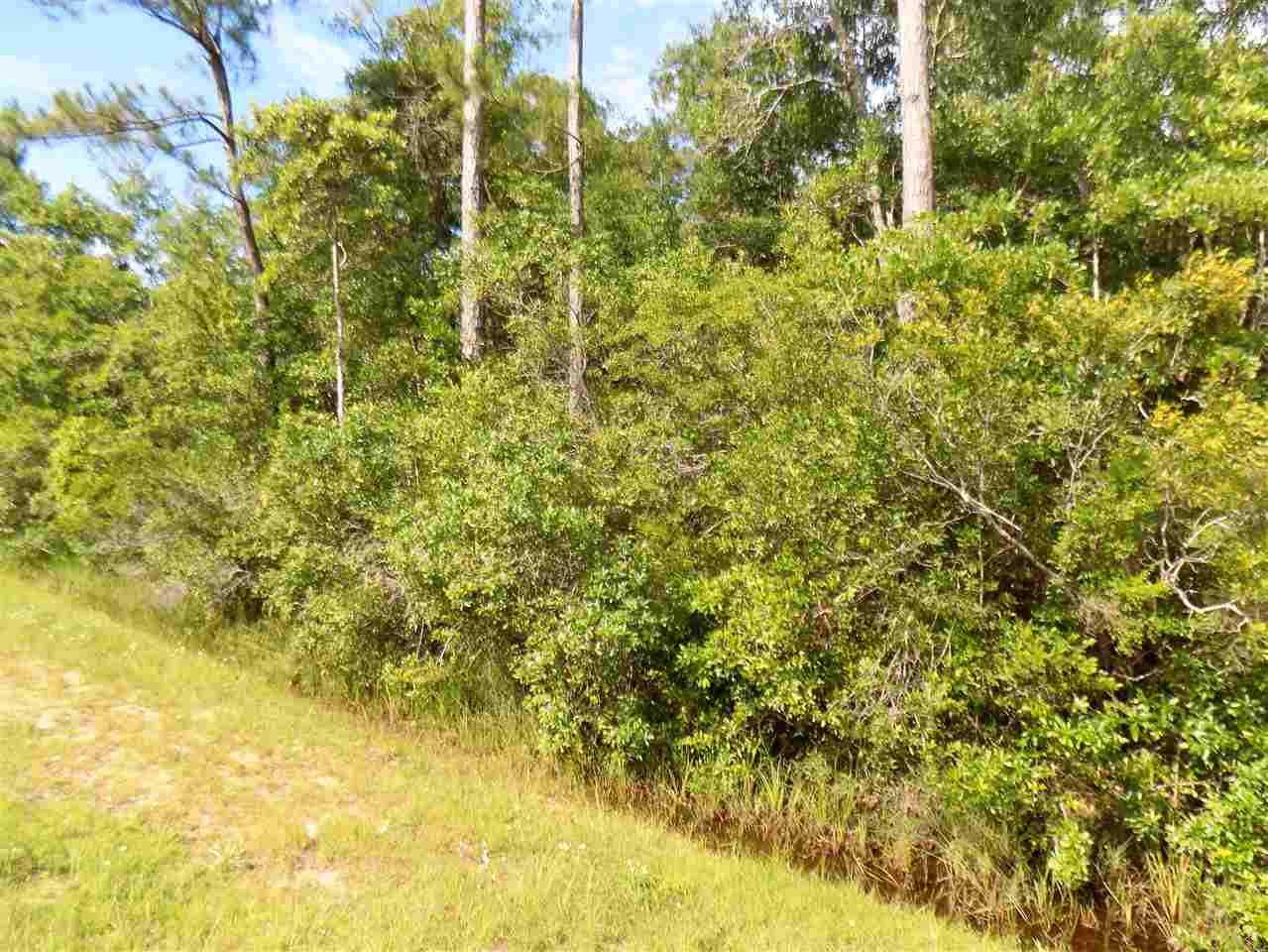 6-ac Robinson Point Road Milton, FL 32583 - Photo 6 of 9