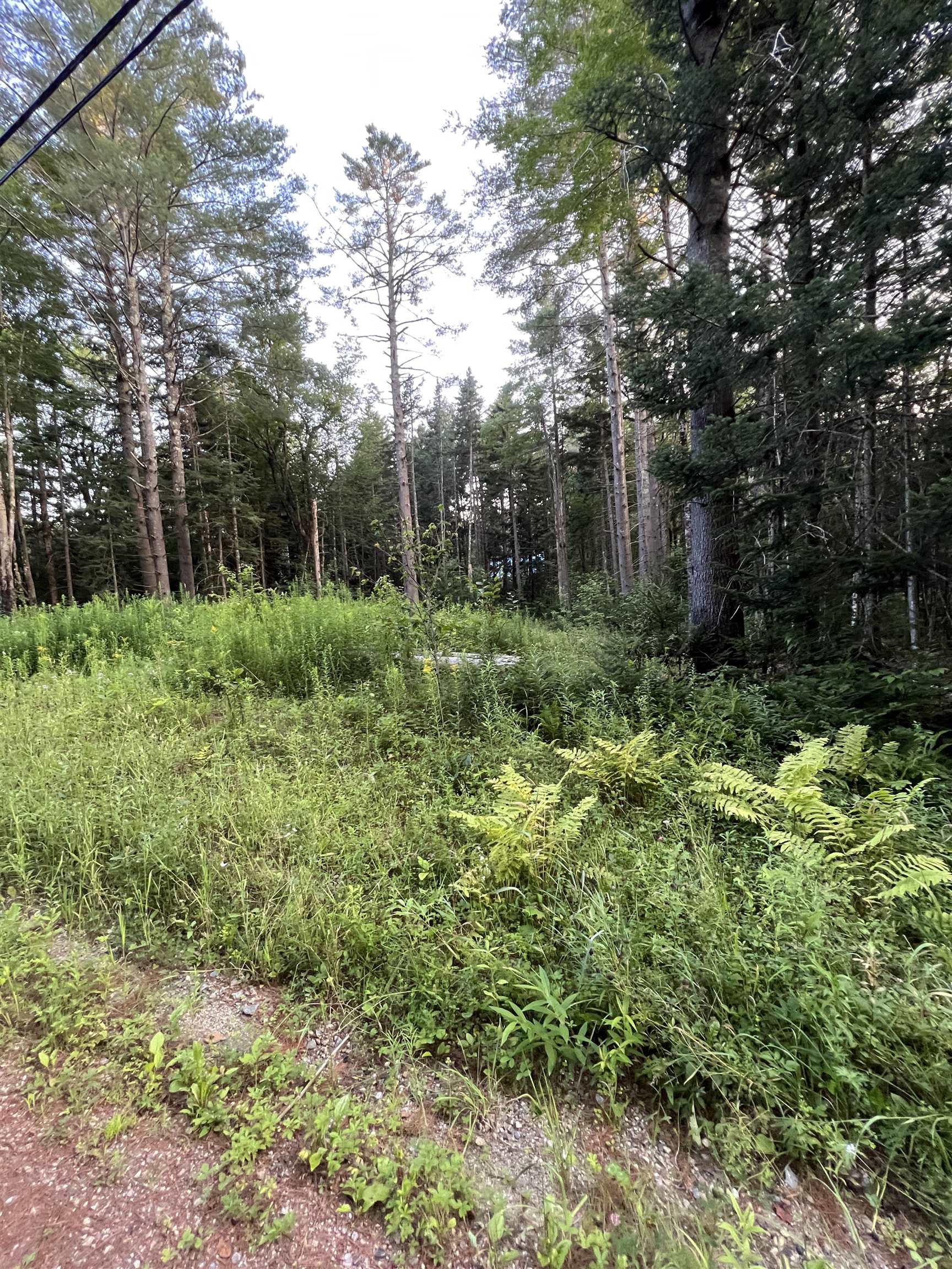 Anderson Road Peru, VT 05152 - Photo 2 of 5