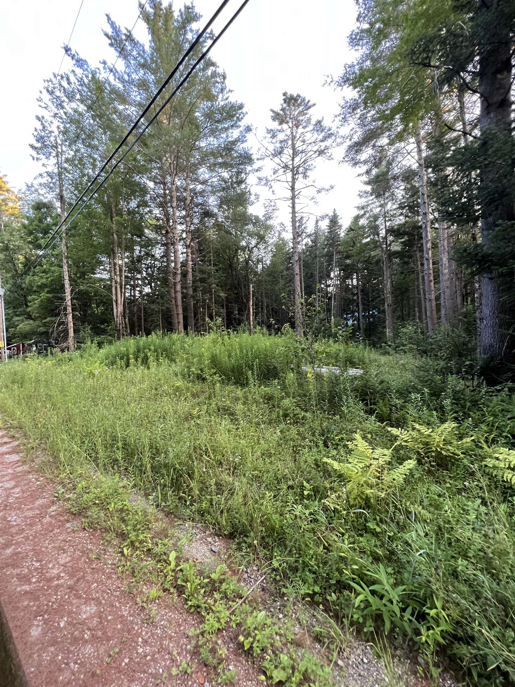 Anderson Road Peru, VT 05152 - Photo 3 of 5