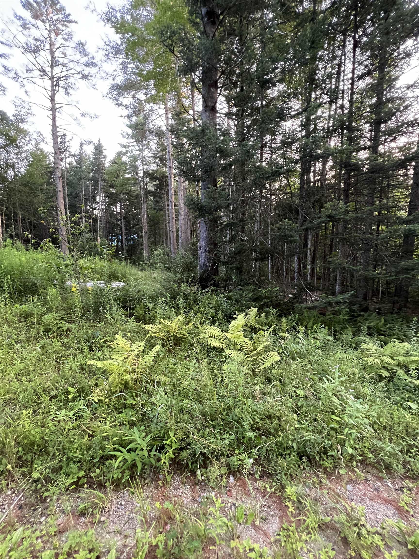 Anderson Road Peru, VT 05152 - Photo 4 of 5