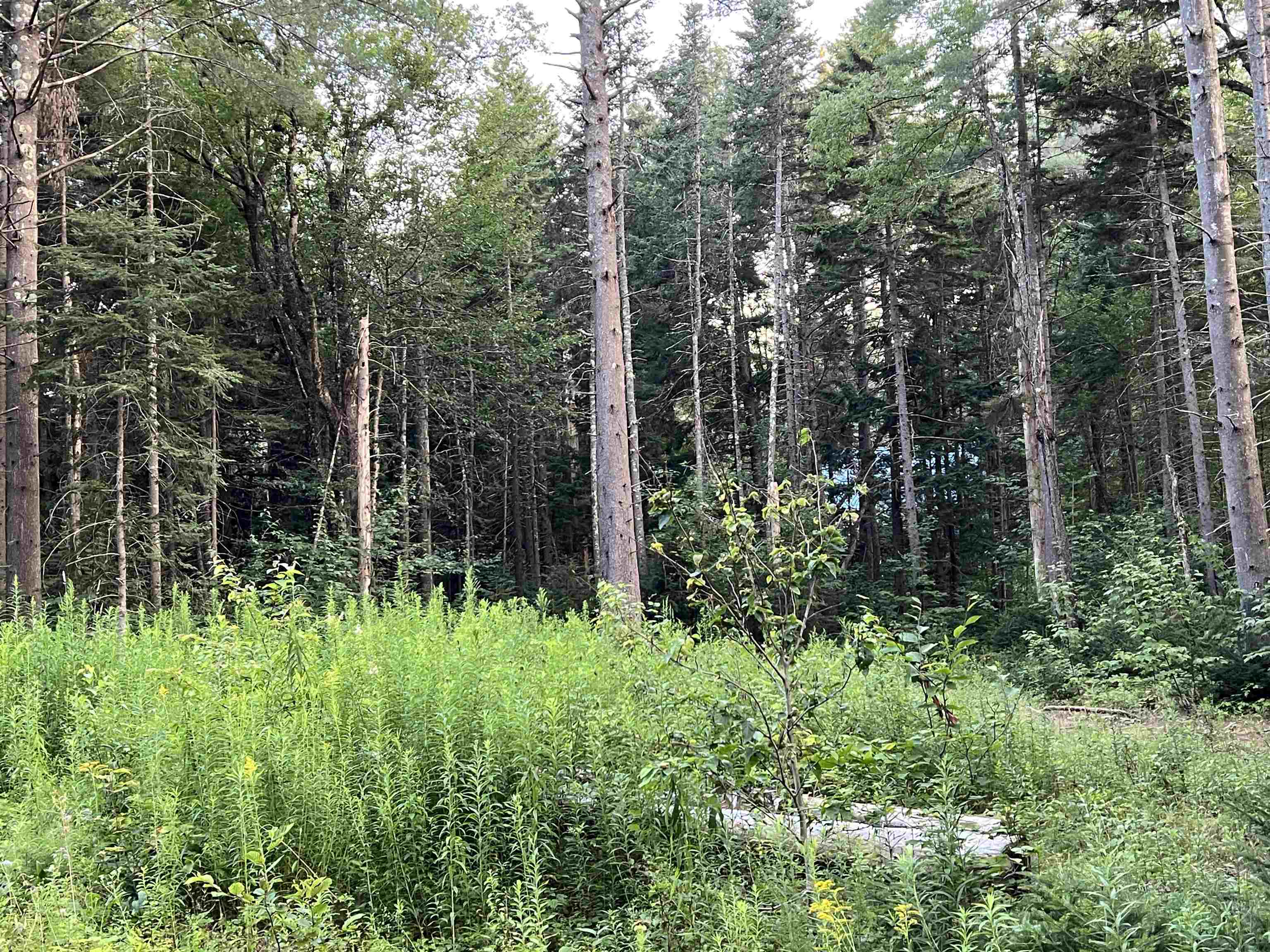 Anderson Road Peru, VT 05152 - Photo 5 of 5