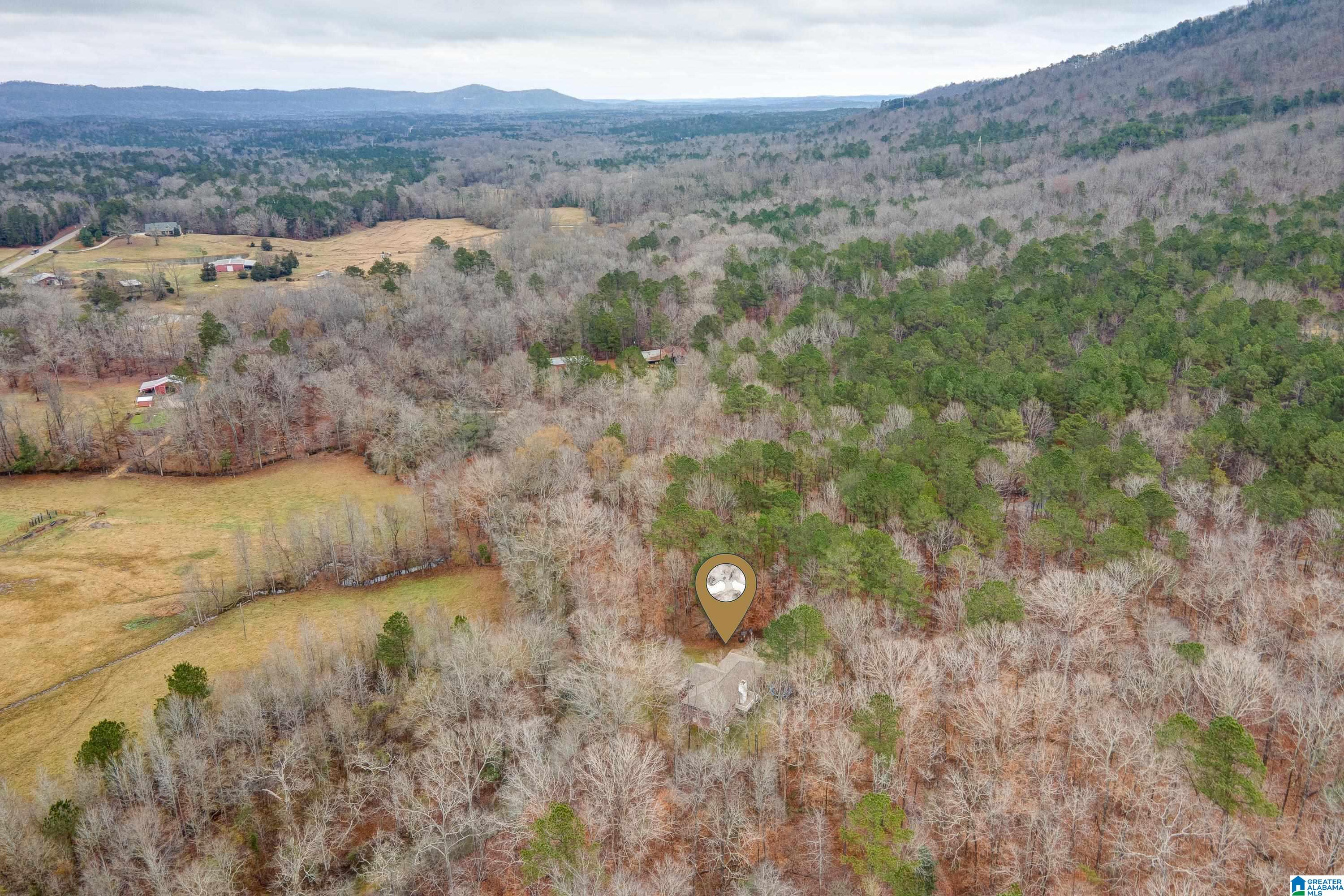 384 Moss Rock Trail Sterrett, AL 35147 - Photo 10 of 47