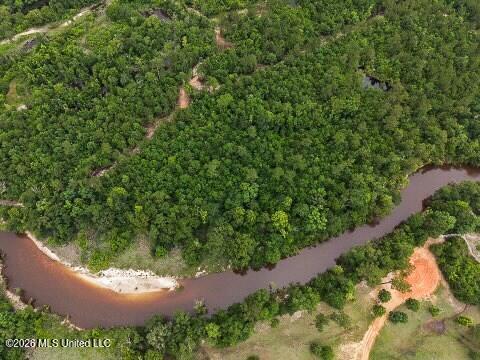 Mcneill Mchenry Road Poplarville, MS 39470 - Photo 3 of 14 3