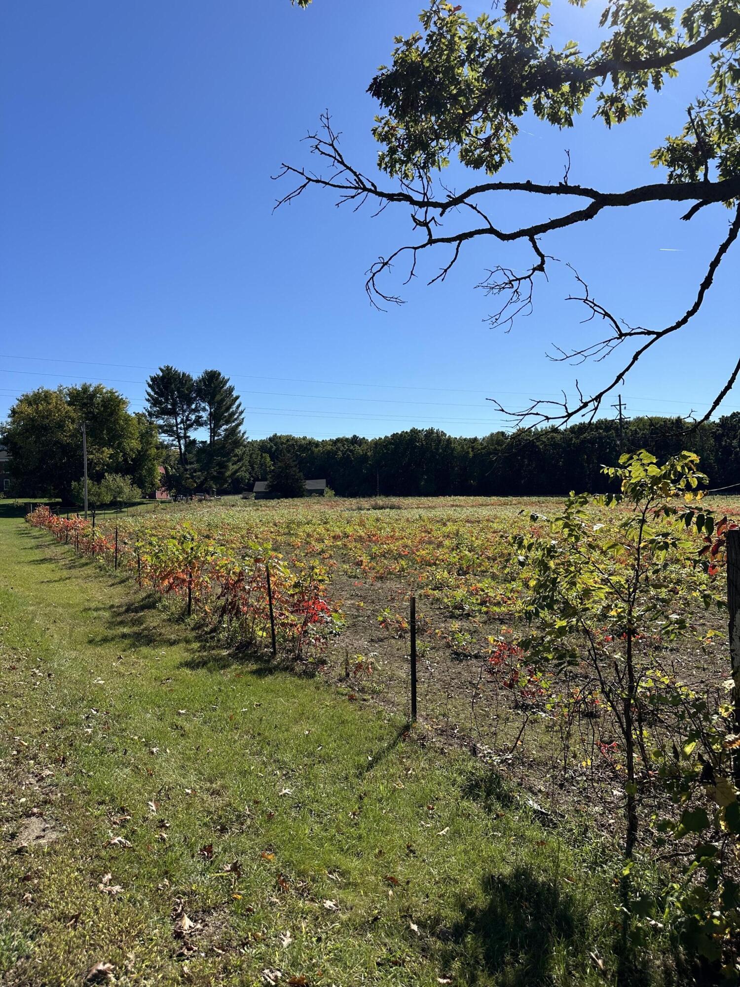 694 Pierce Road Plainwell, MI 49080 - Photo 1 of 6 IMG_2632