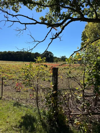 $69,900 | 694 Pierce Road, Plainwell, MI 49080