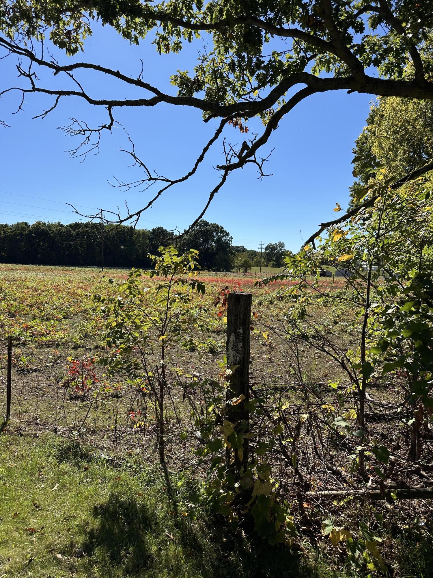 694 Pierce Road Plainwell, MI 49080 - Photo 3 of 6 IMG_2633