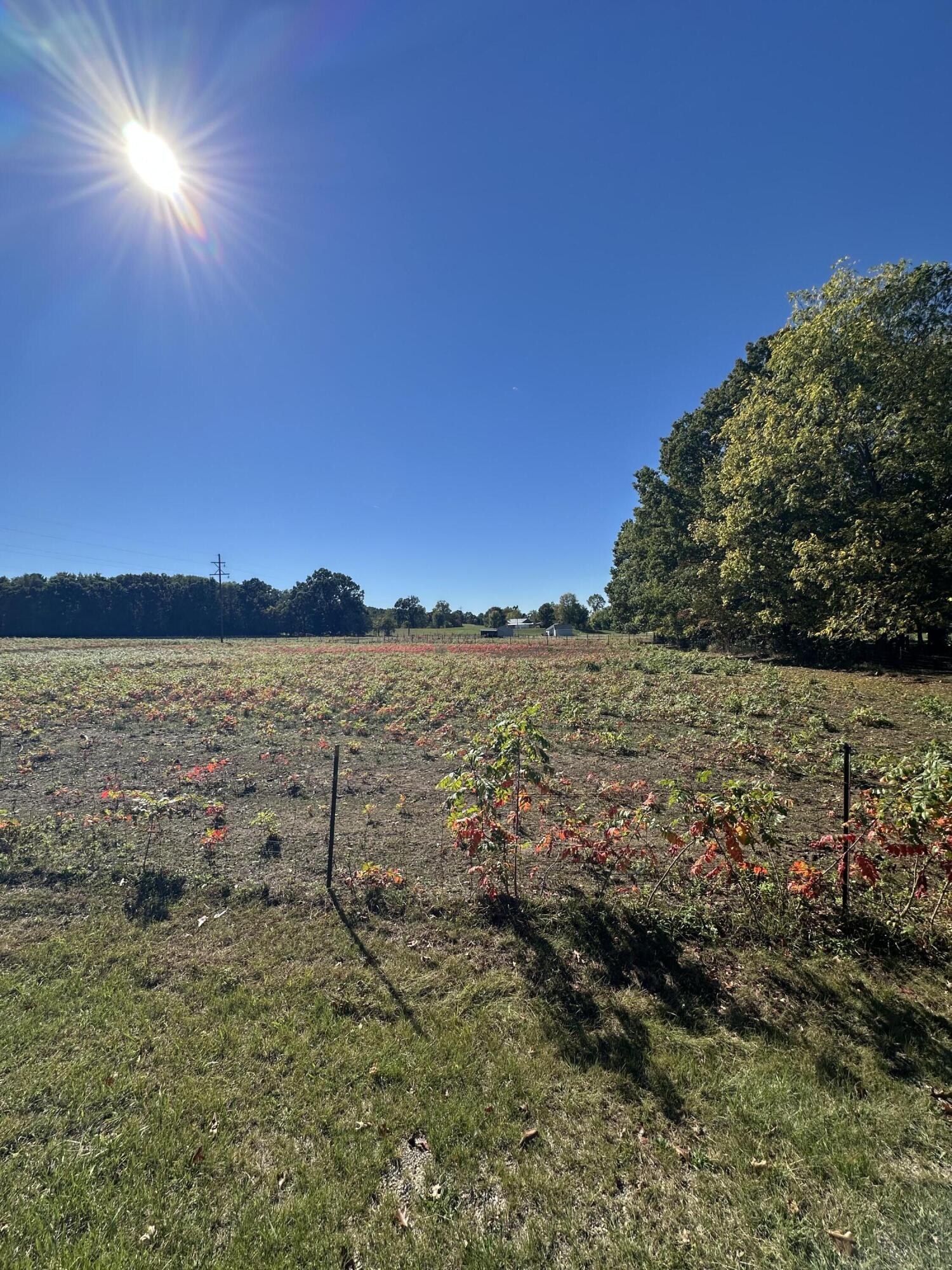 694 Pierce Road Plainwell, MI 49080 - Photo 6 of 6 IMG_2628