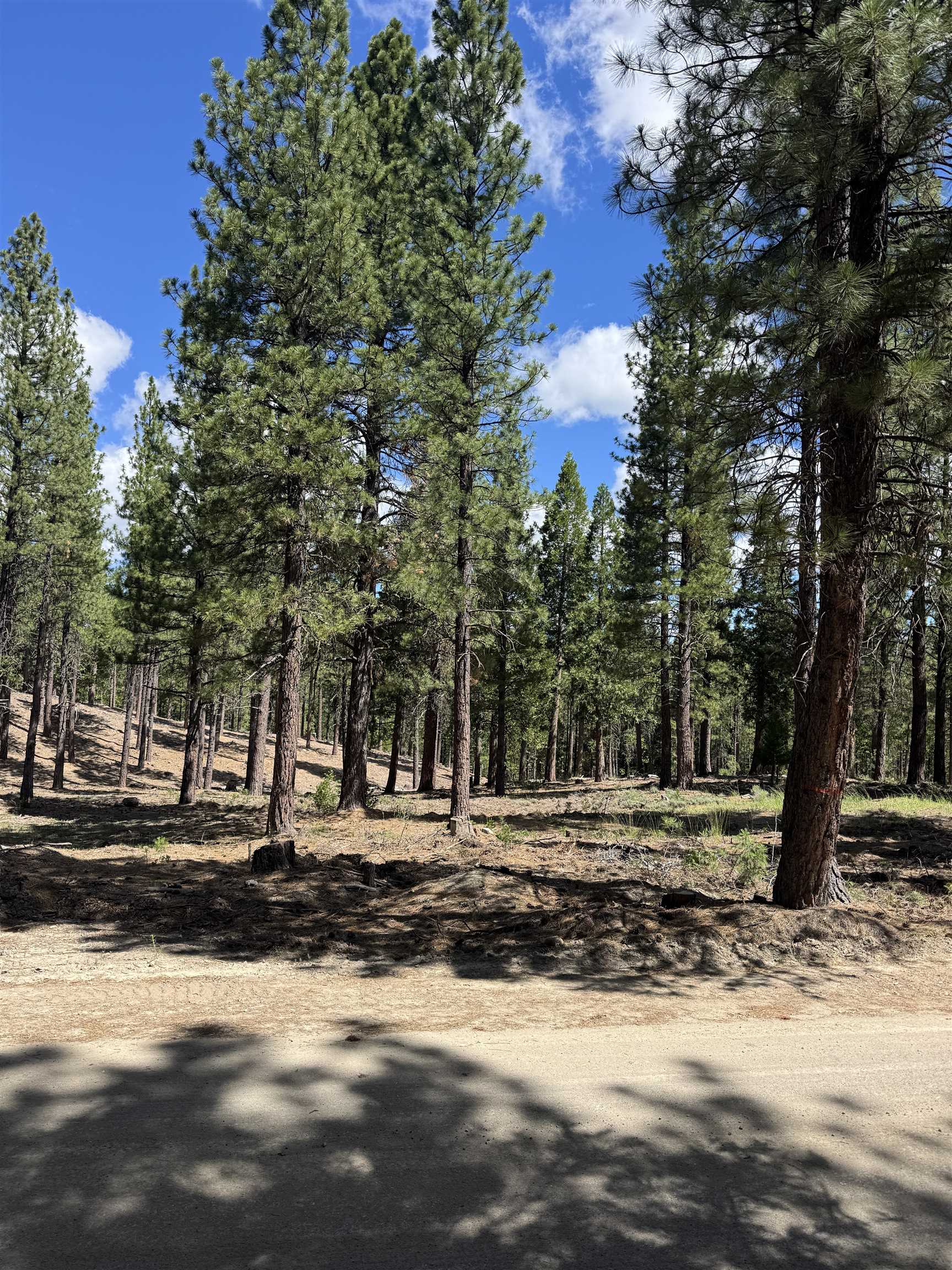 2245 Xanadu Road Clio, CA 96106 - Photo 17 of 43