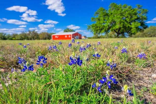 $639,900 | 125 Headwaters Drive, Mountain Home, TX 78058