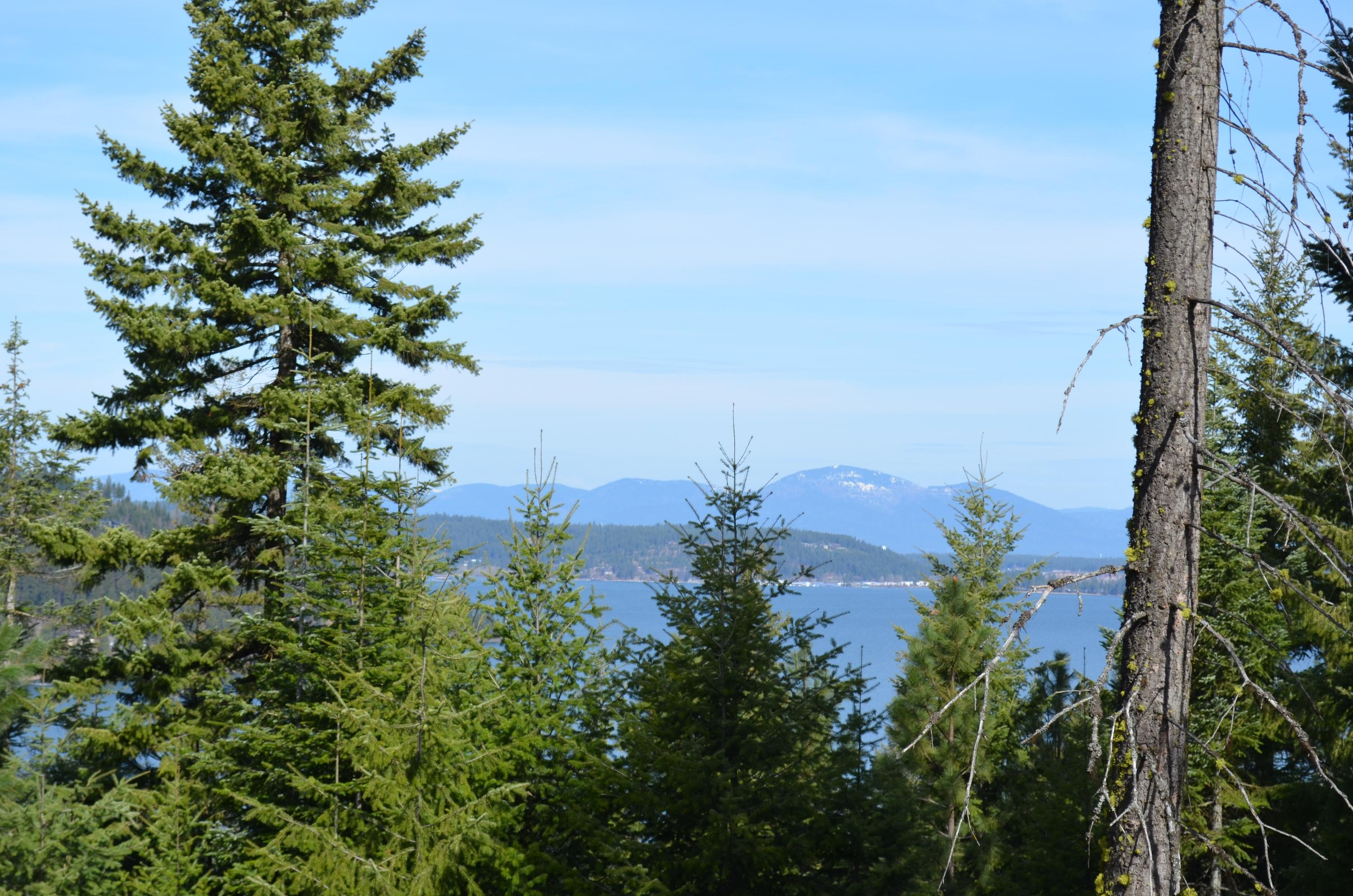 Lot 27 South Ironstone Road Harrison, ID 83833 - Photo 1 of 1 DSC_0064
