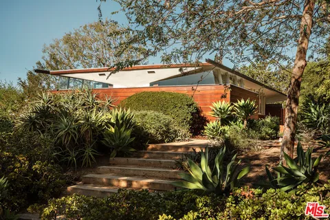 a view of a pathway with a tree
