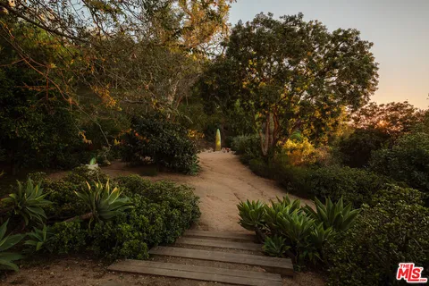 a view of a field with a tree in the background